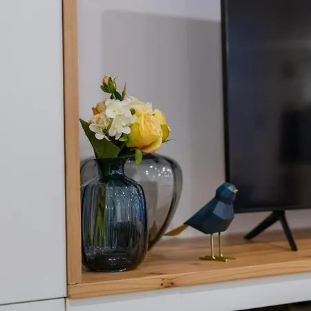 Casa De Santa Catarina - Ponta Delgada